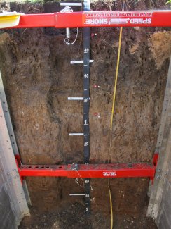 soil profile