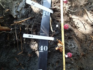 soil profile