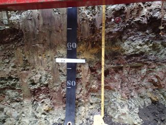 soil profile