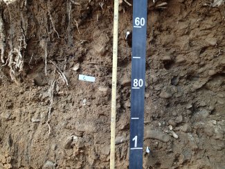 soil profile