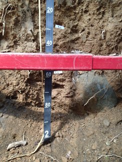 soil profile