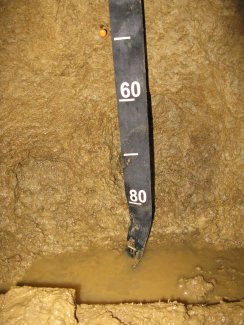 soil profile