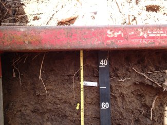 soil profile