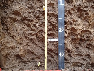 soil profile