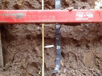 soil profile