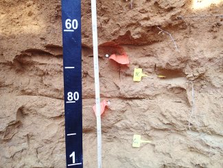 soil profile