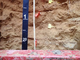 soil profile