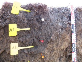 soil profile