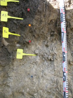 soil profile