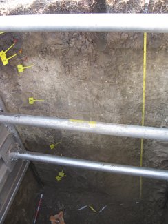 soil profile