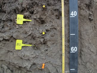 soil profile