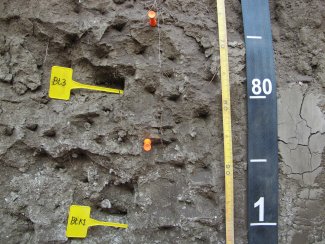 soil profile