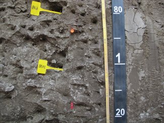 soil profile