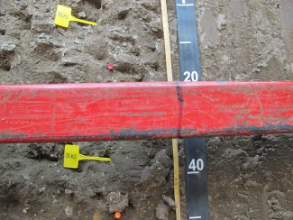 soil profile