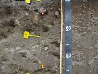 soil profile