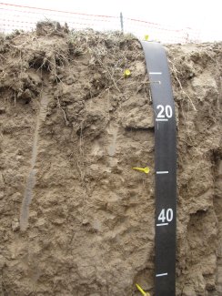 soil profile