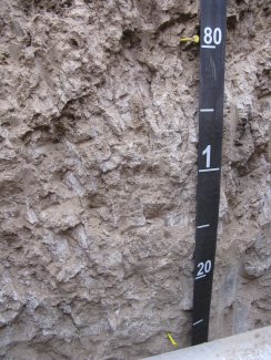 soil profile