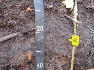 soil profile