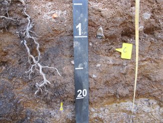 soil profile