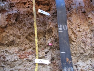 soil profile