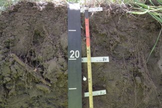 soil profile