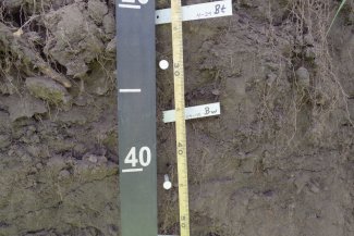 soil profile