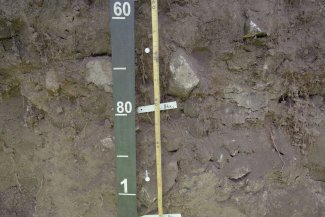 soil profile