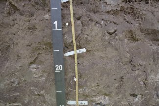 soil profile