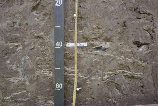 soil profile