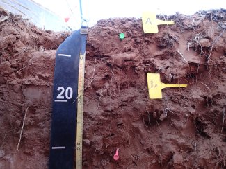 soil profile