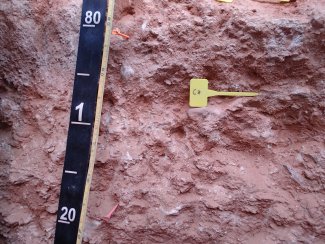 soil profile