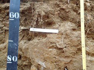 soil profile