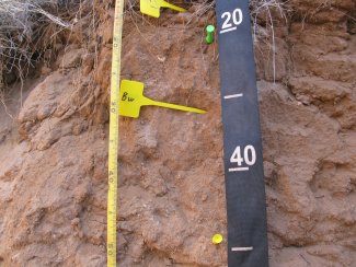 soil profile