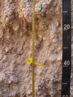 soil profile