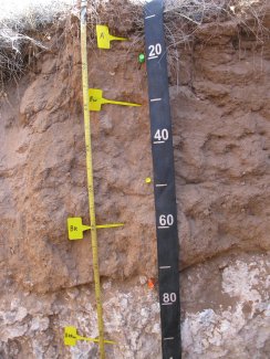 soil profile