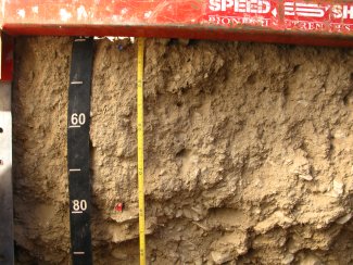 soil profile