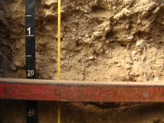 soil profile