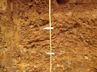 soil profile