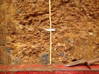 soil profile