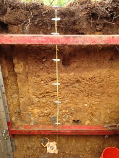 soil profile