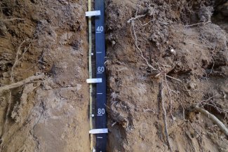 soil profile