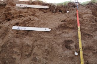 soil profile