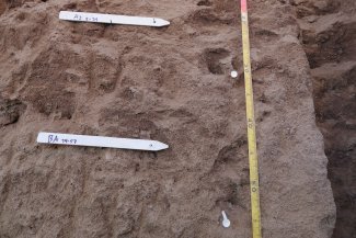 soil profile