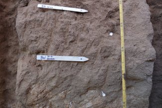 soil profile