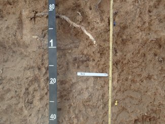 soil profile