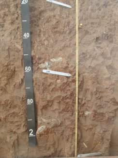 soil profile