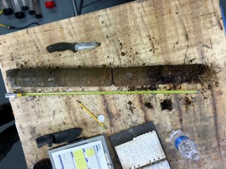 soil profile