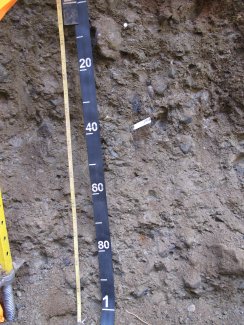 soil profile