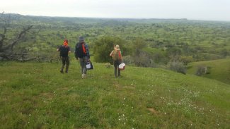 SJER field sampling crew.