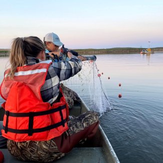 Fall fish sampling in ND